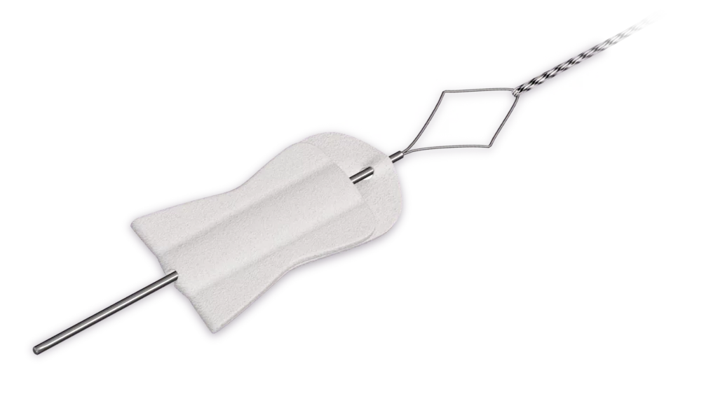 BioCharge® bioresorbable autobiologic matrix device