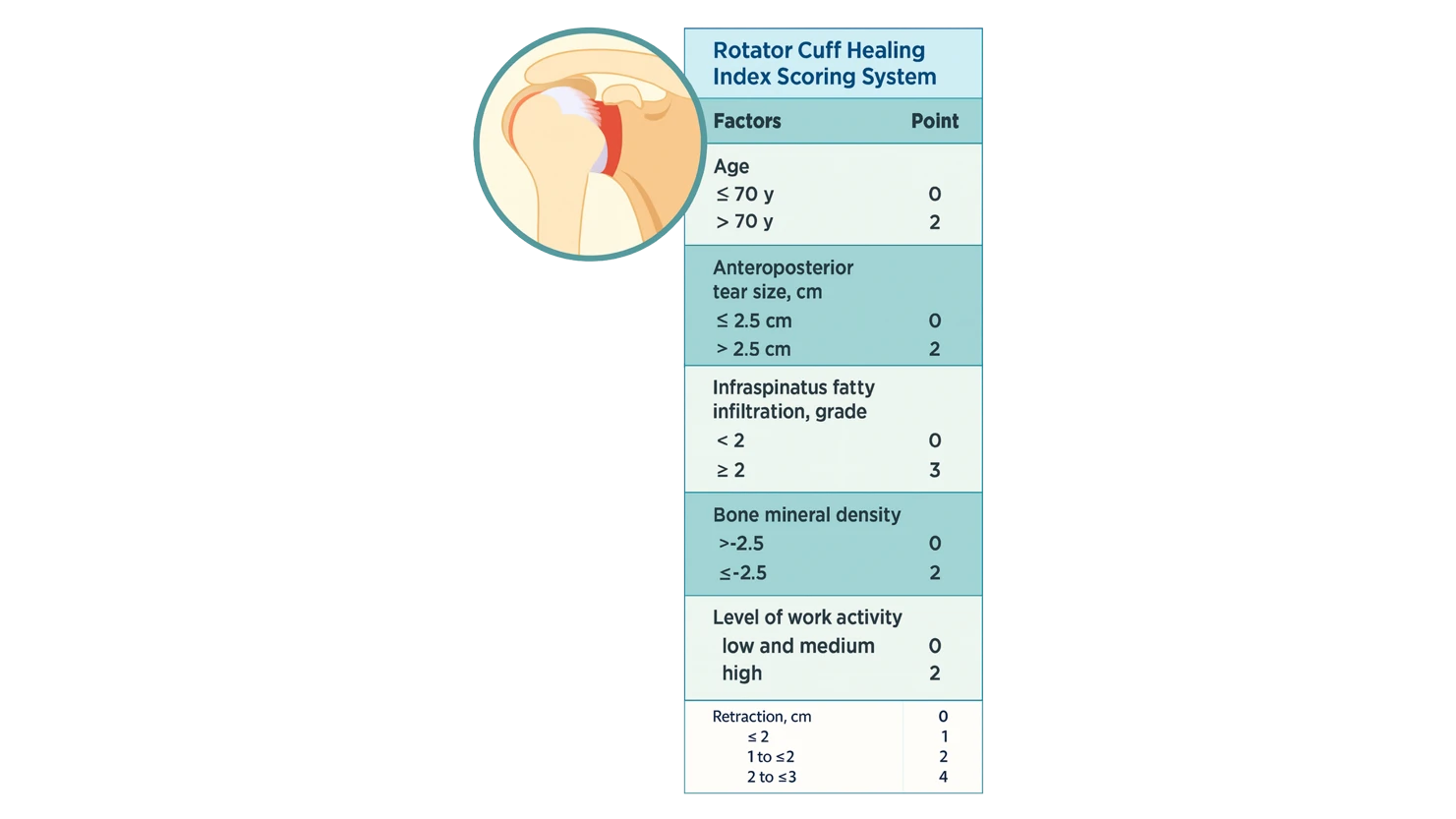 Rotator Cuff Healing Index (RoHI) score table with color-coded risk tiers showing variables and total scores to predict tendon healing after rotator cuff repair