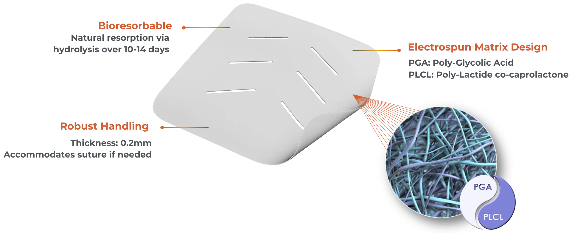 Phoenix Wound Matrix Features