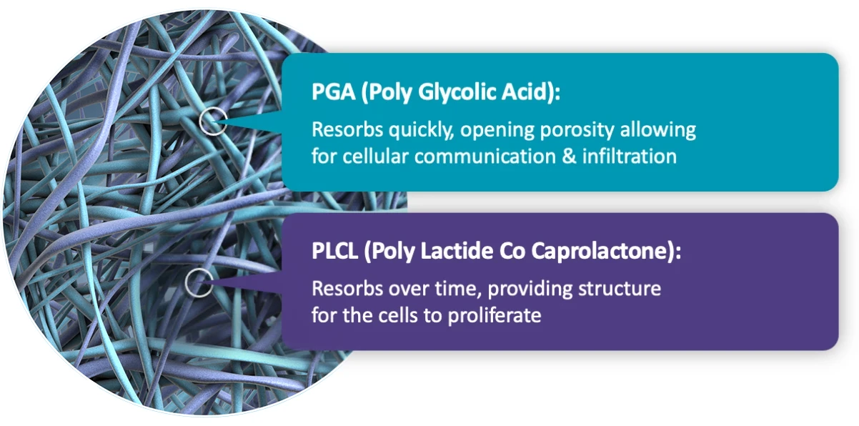 PGA (Poly Glycolic Acid)