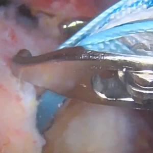 BioCharge - Dr. Brian Badman Video Thumbnail