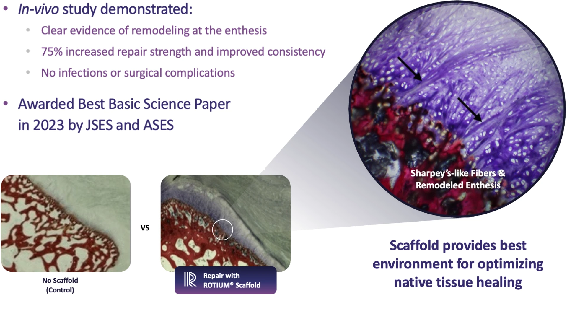 Slide with a light gray background. On the left, purple bullet points read: “In-vivo study demonstrated:” followed by “Clear evidence of remodeling at the enthesis,” “75% increased repair strength and improved consistency,” and “No infections or surgical complications.” Below, another bullet says: “Awarded Best Basic Science Paper in 2023 by JSES and ASES.” At the bottom left are two comparison tissue images. The left image is labeled “No Scaffold (Control).” The right image is labeled “Repair with ROTIUM® Scaffold,” with a small circled area highlighted. The two images are separated by the text “VS.” On the upper right is a large circular magnified histology image in purple and red tones with two black arrows pointing to fiber-like structures. White text inside the circle says: “Sharpey’s-like Fibers & Remodeled Enthesis.” At the lower right, large purple text reads: “Scaffold provides best environment for optimizing native tissue healing.”