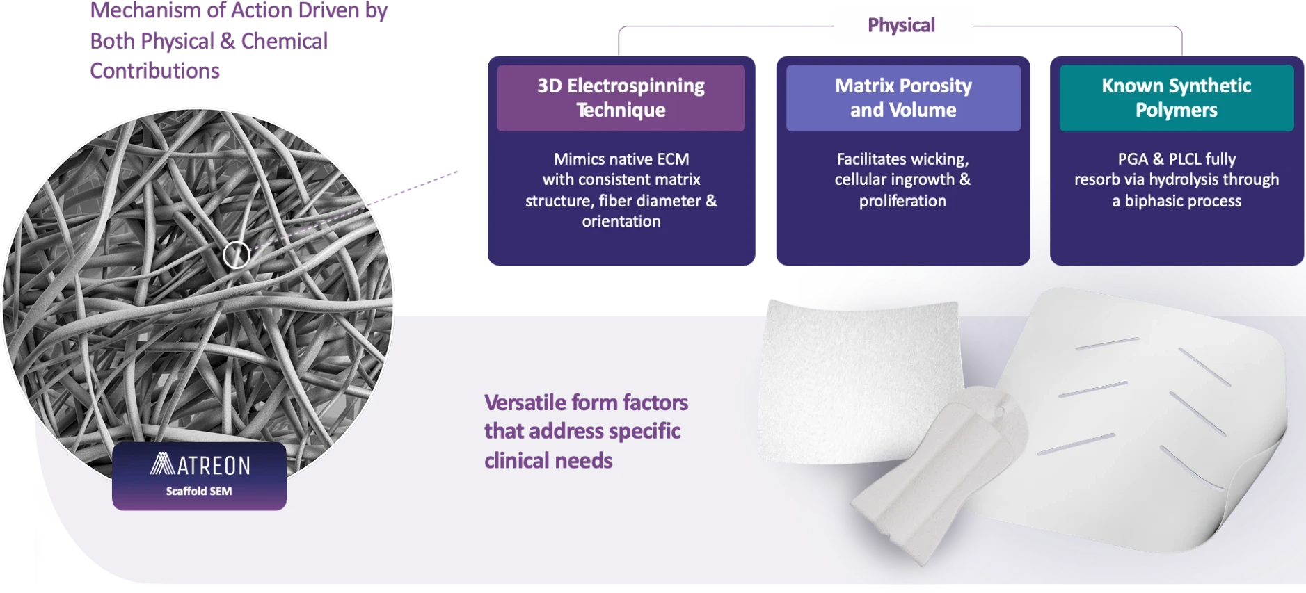 Slide with a gray and purple design titled, “Mechanism of Action Driven by Both Physical & Chemical Contributions.” Across the top, a label reading “Physical” connects to three text boxes. Left text box heading: “3D Electrospinning Technique.” Body text: “Mimics native ECM with consistent matrix structure, fiber diameter & orientation.” Center text box heading: “Matrix Porosity and Volume.” Body text: “Facilitates wicking, cellular ingrowth & proliferation.” Right text box heading: “Known Synthetic Polymers.” Body text: “PGA & PLCL fully resorb via hydrolysis through a biphasic process.” On the left side is a large circular black-and-white SEM image showing a dense web of scaffold fibers, with a small white circle highlighting one area. A label at the bottom of the circle reads: “ATREON Scaffold SEM.” At the bottom center, purple text reads: “Versatile form factors that address specific clinical needs.” On the right are white scaffold product forms, including a rectangular sheet, a narrow folded strip, and a larger shaped sheet with multiple slit openings.
