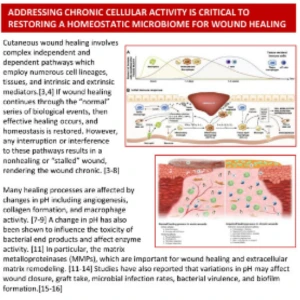 Garoufalis - Chronic Activity Phoenix Poster Thumbnail