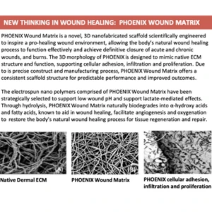 Garoufalis - Wound Healing Phoenix Poster Thumbnail