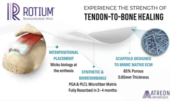 JOEI Surgeon Panel Tendon-bone Healing